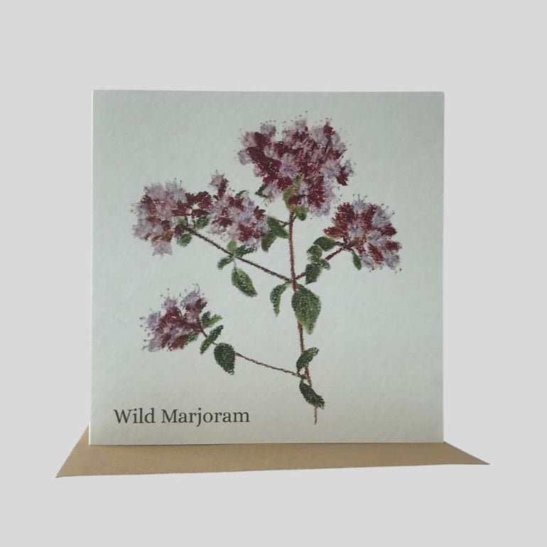Wild Marjoram Greetings Card