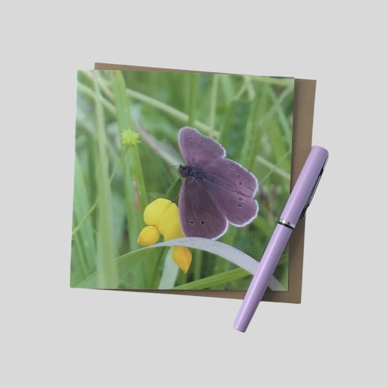 Ringlet Butterfly Greetings Card