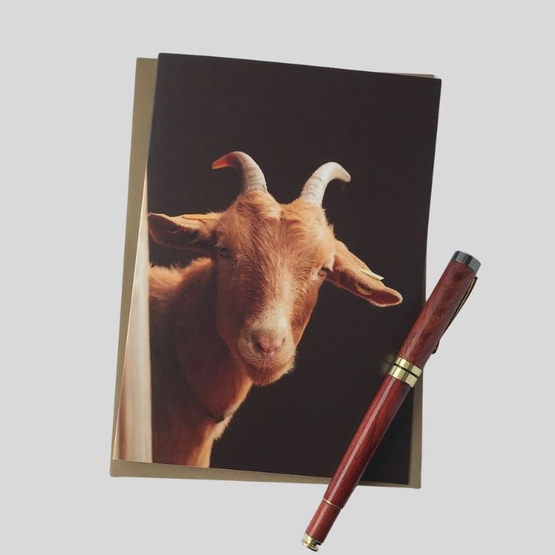 Golden Guernsey Goat Greetings Card