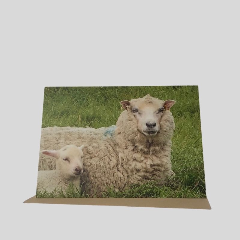 Ewe & Lamb Greetings Card