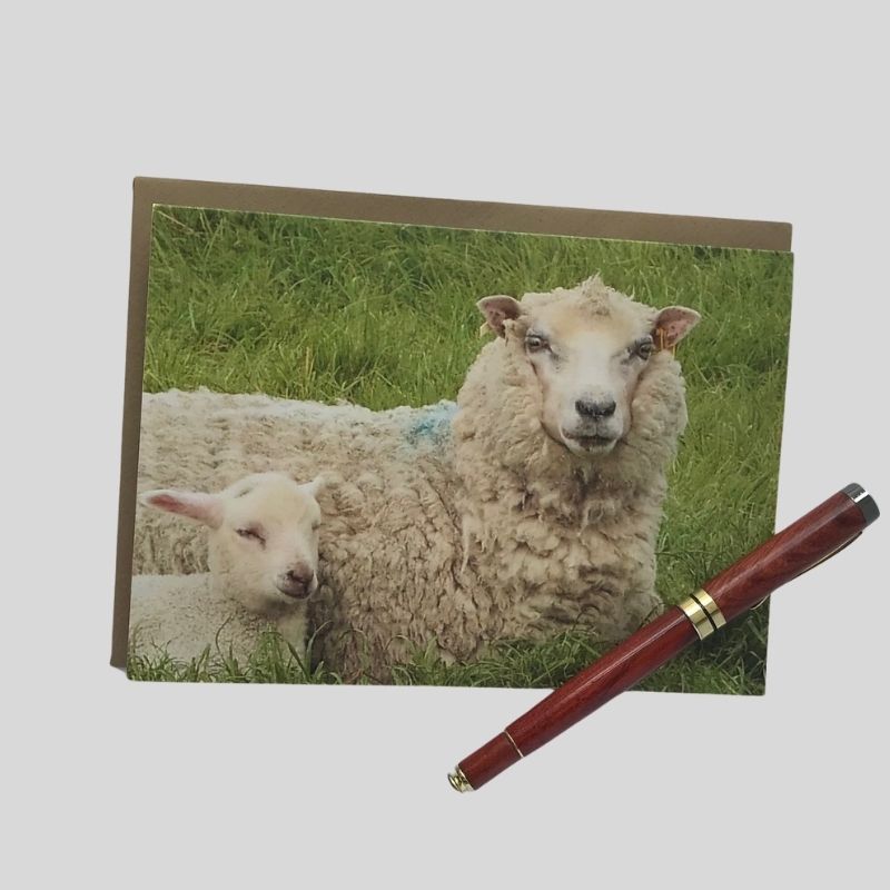 Ewe & Lamb Greetings Card