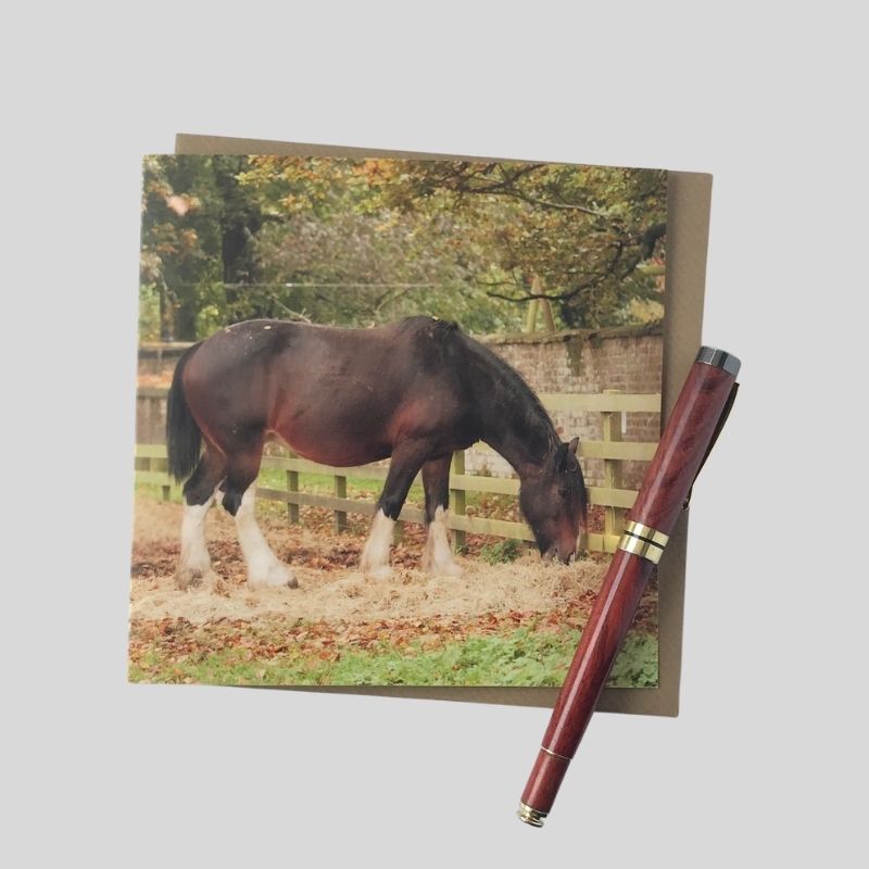 Shire Horse Greetings Card