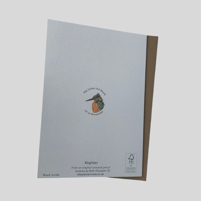 Kingfisher Greetings Card
