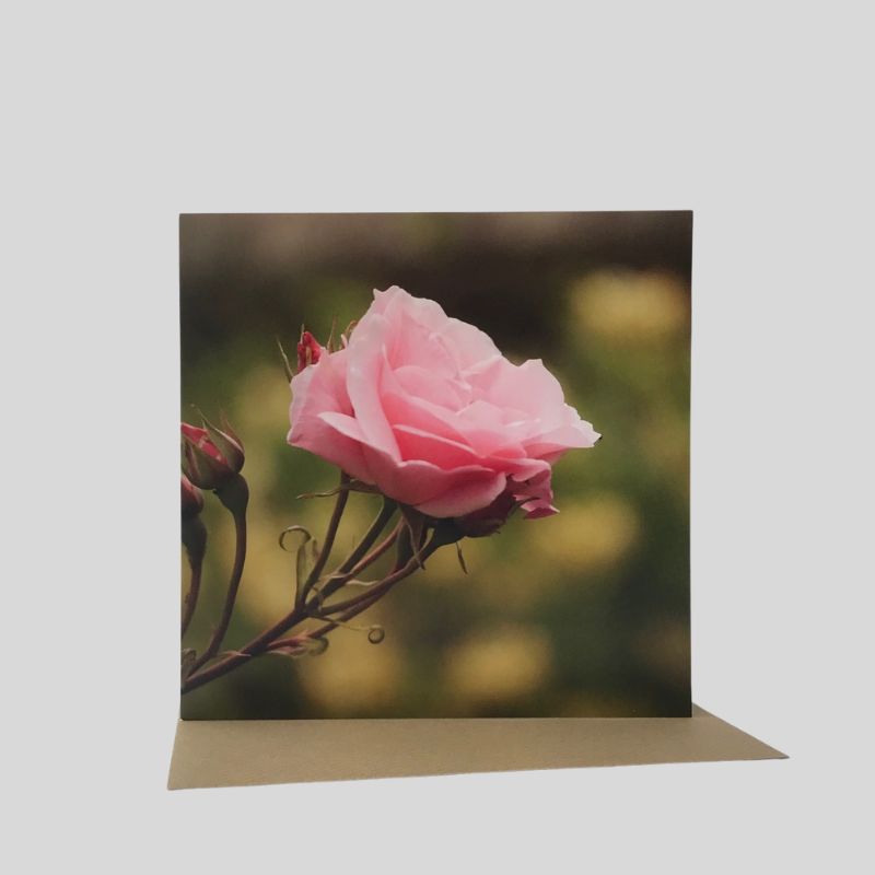 Rose Greetings Card