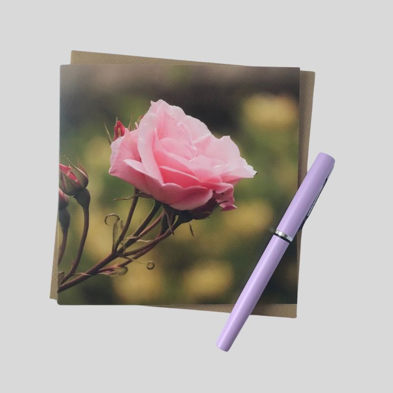 Rose Greetings Card