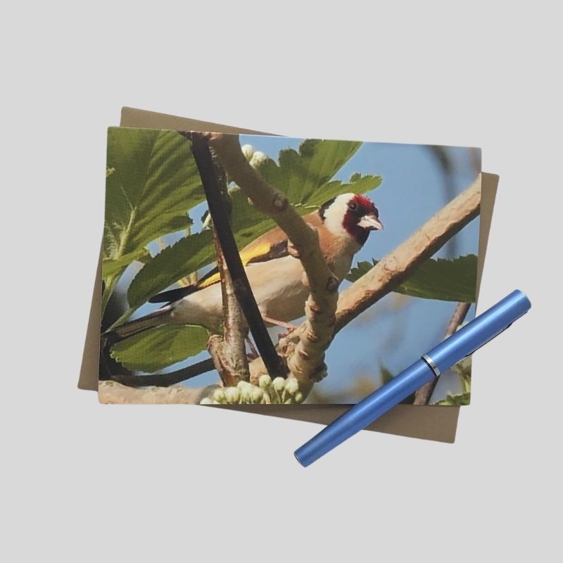 Goldfinch Greetings Card