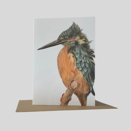 Kingfisher Greetings Card