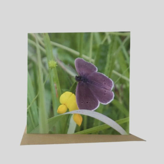 Ringlet Butterfly Greetings Card