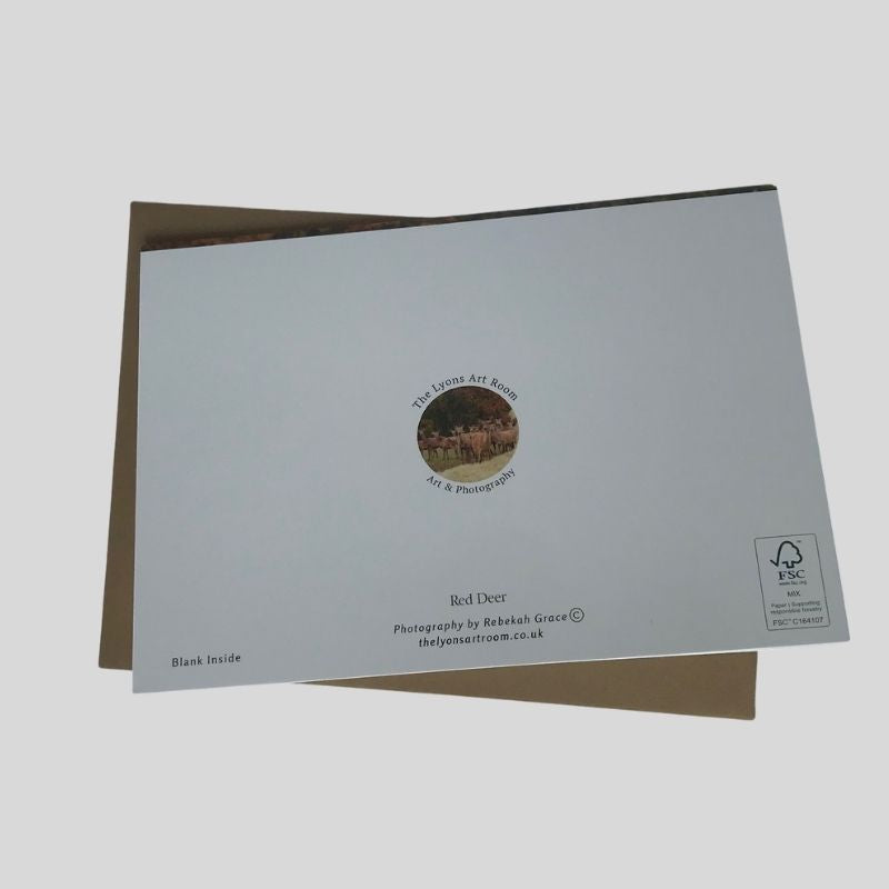 Red Deer Greetings Card
