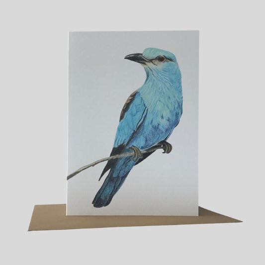 Roller Bird Greetings Card
