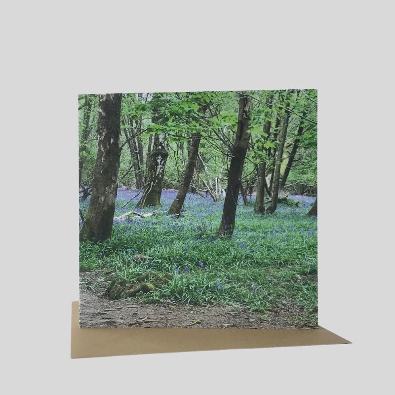 Bluebell Woods Greetings Card
