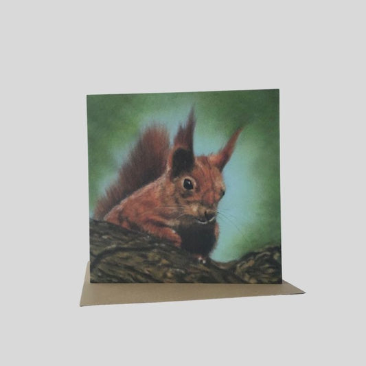 Red Squirrel Greetings Card