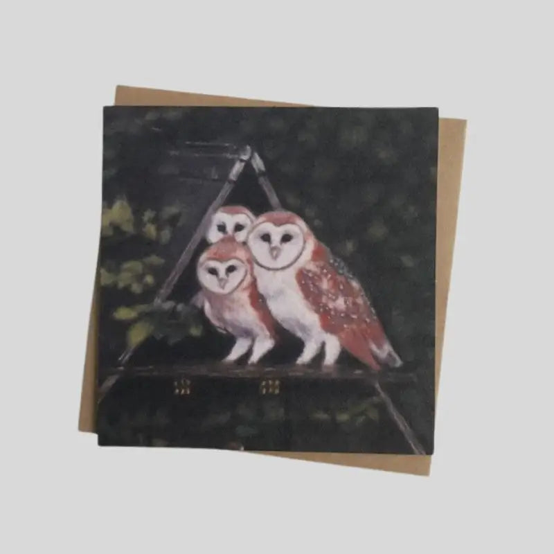 Barn Owls Greetings Card