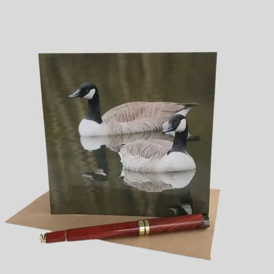 Canadian Geese Greetings Card