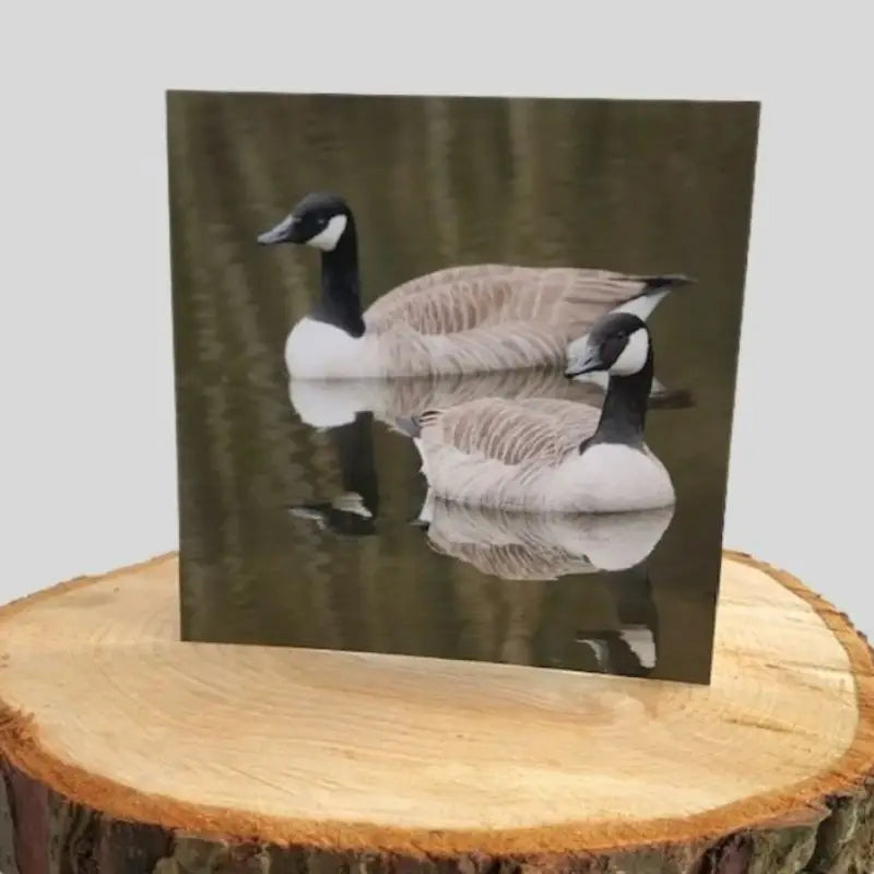 Canadian Geese Greetings Card on log
