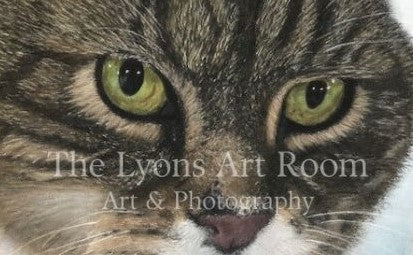 Pet Portraits & Other Subjects