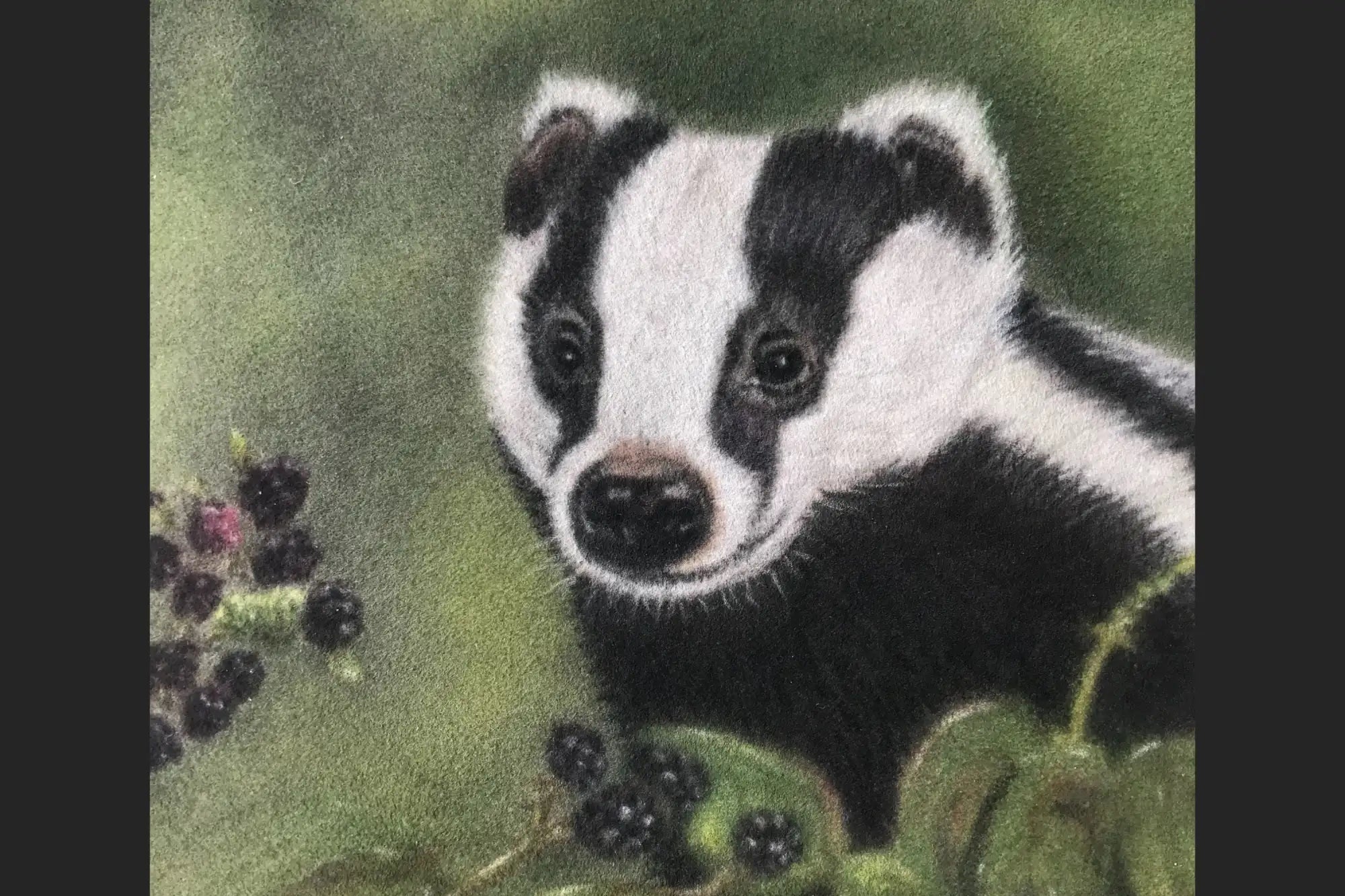 A charmingly detailed illustration of a badger with striking black and white fur, set against a soft green background.