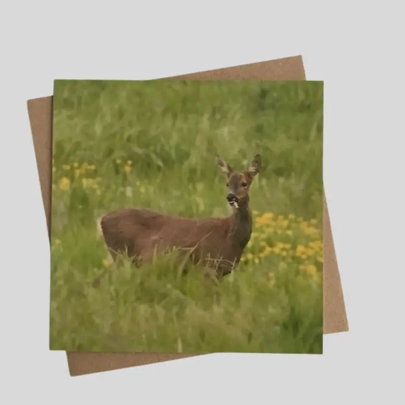 Deer Greetings Card