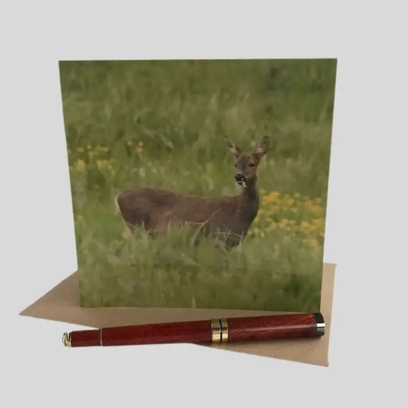 Deer Greetings Card