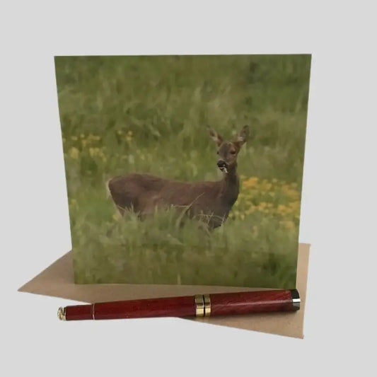 Deer Greetings Card