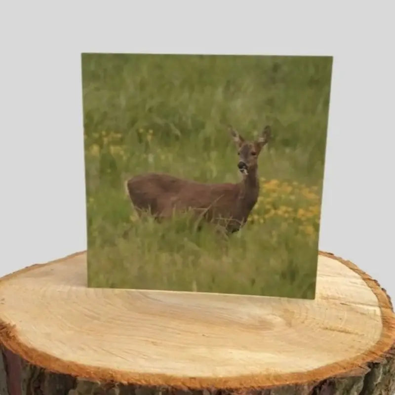 Deer Greetings Card on log