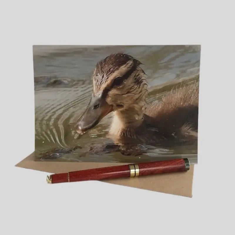 Duckling Greetings Card