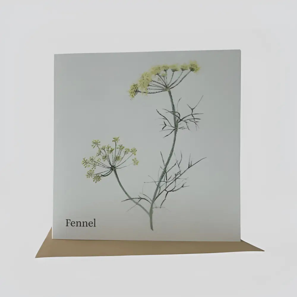 Fennel Greetings Card