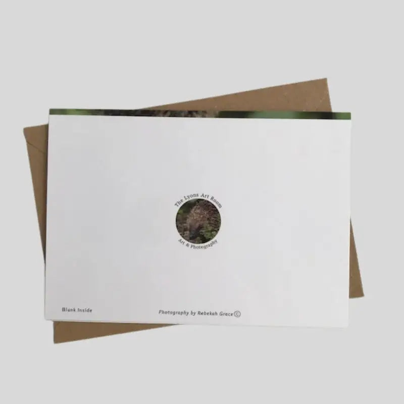 back of Hedgehog Greetings Card