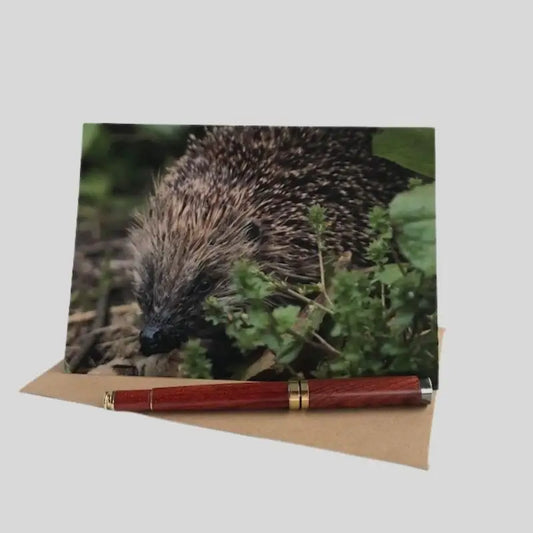 Hedgehog Greetings Card