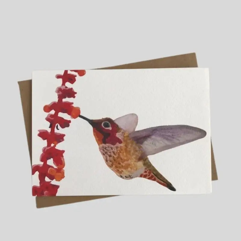 Humming Bird Greetings Card