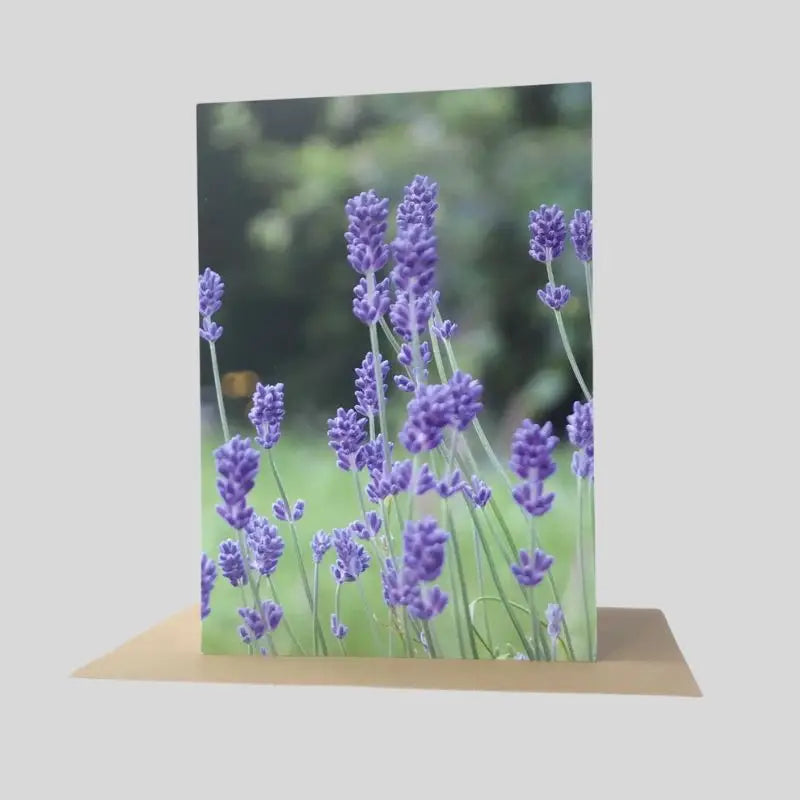Lavender Greetings Card