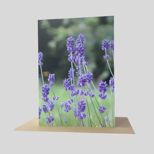 Lavender Greetings Card
