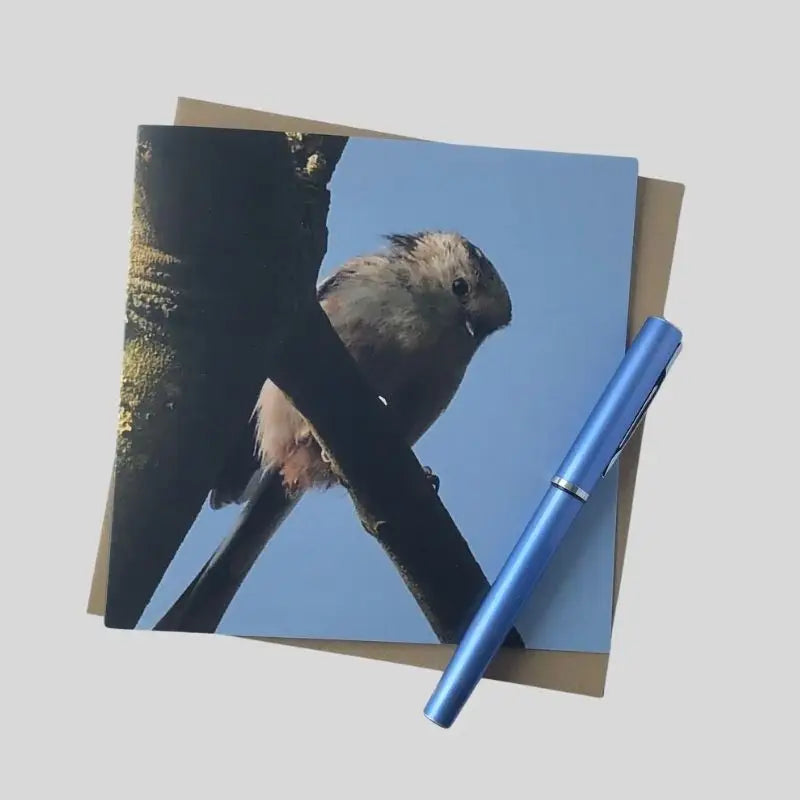 Long-Tailed Tit Greetings Card