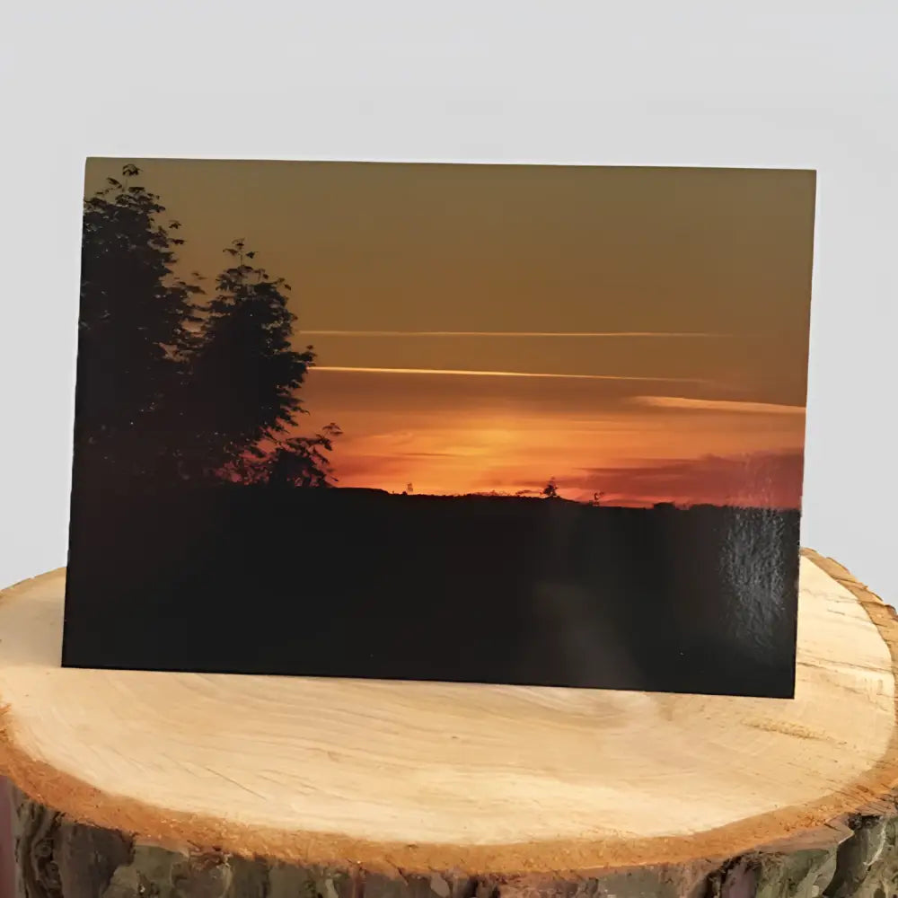 Red Sunset Greetings Card on log