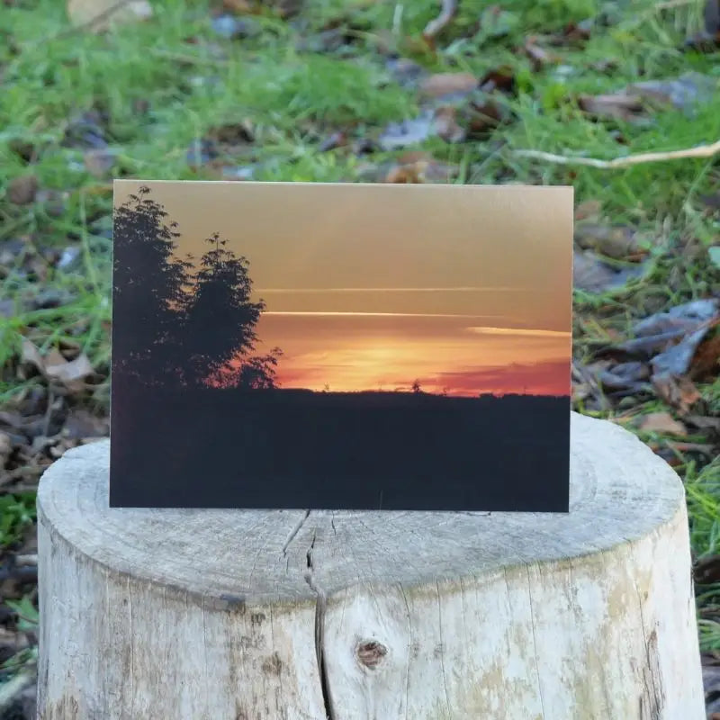 Red Sunset Greetings Card on log outside