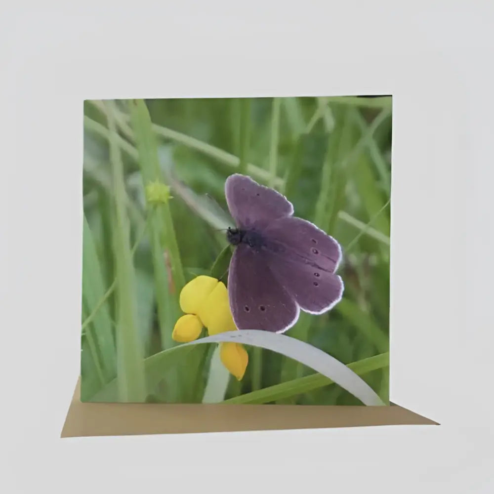 Ringlet Butterfly Greetings Card