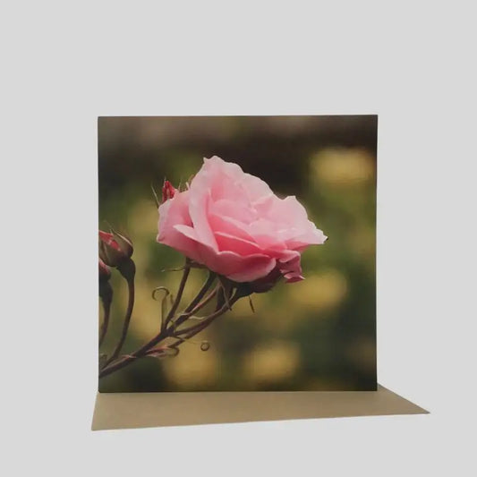 Rose Greetings Card