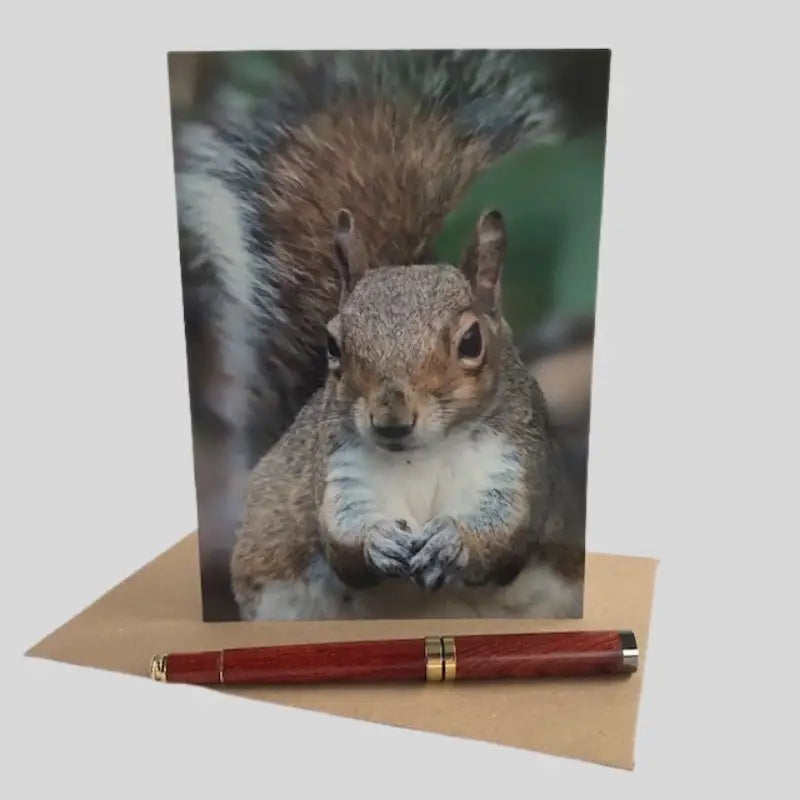 Squirrel Greetings Card