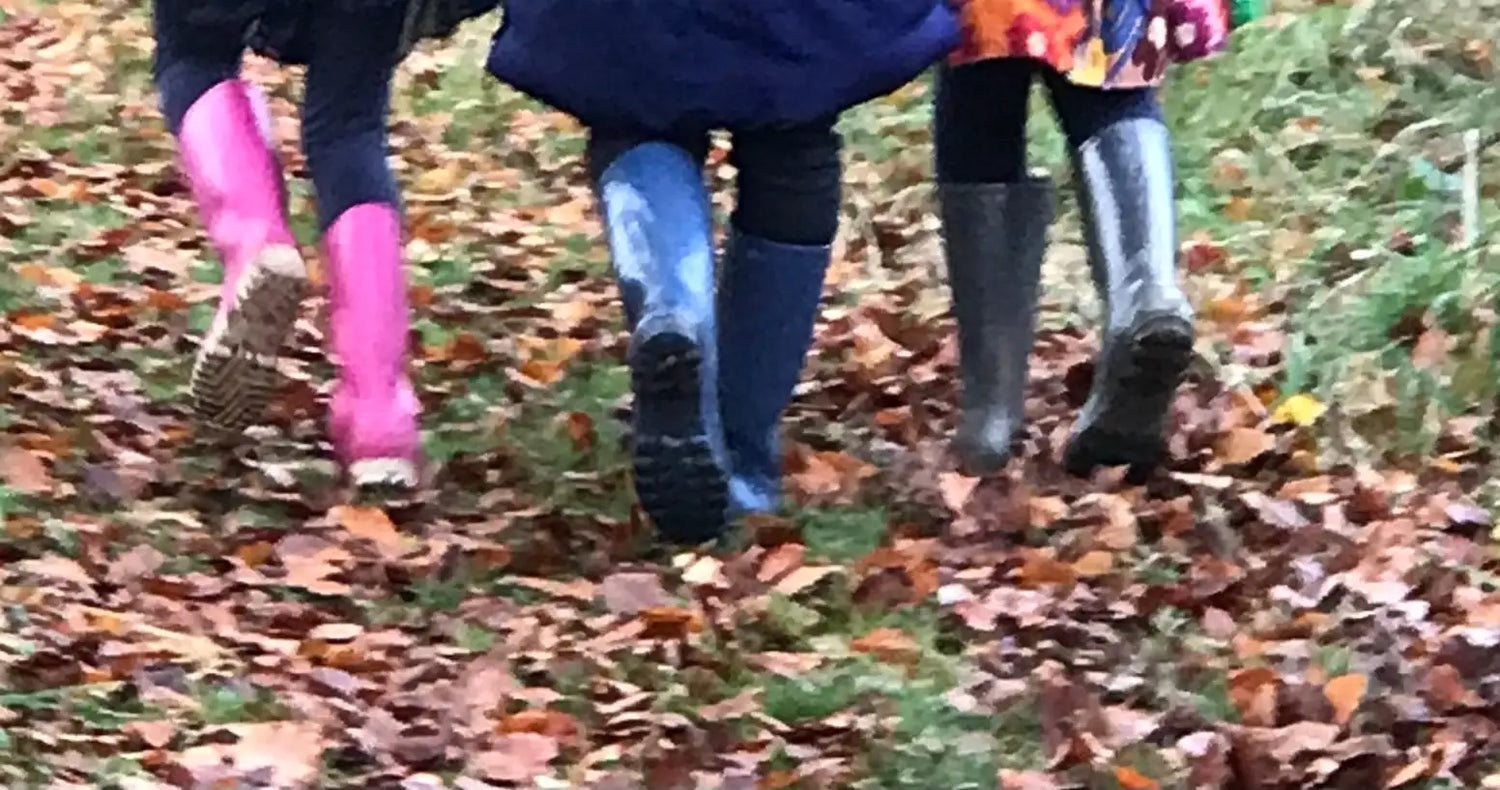Three pairs of colorful rubber boots—pink, blue, and gray—are worn by people walking through a leafy autumn path.