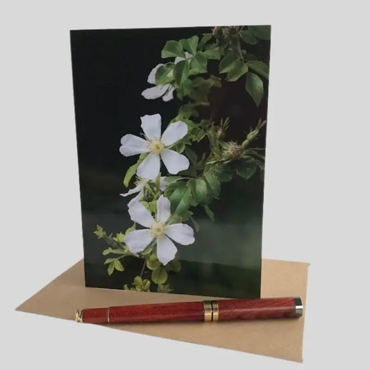 Wild Rose Greetings Card