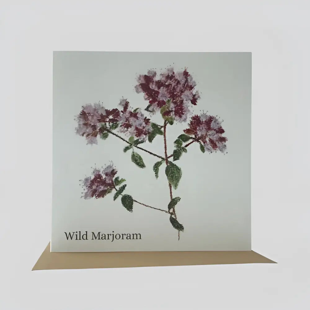 Wild Marjoram Greetings Card