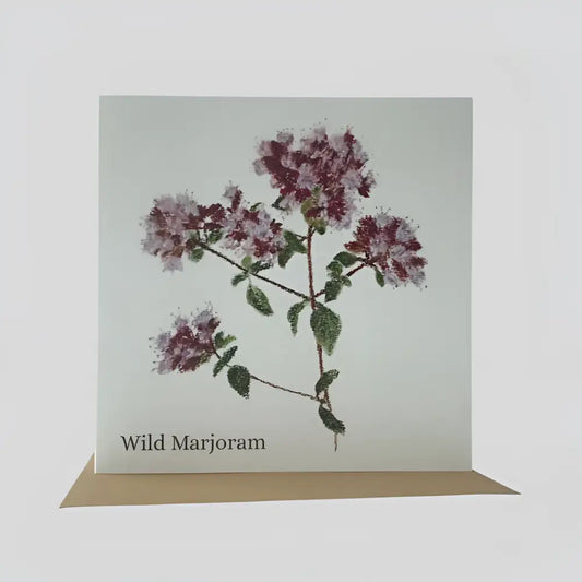 Wild Marjoram Greetings Card
