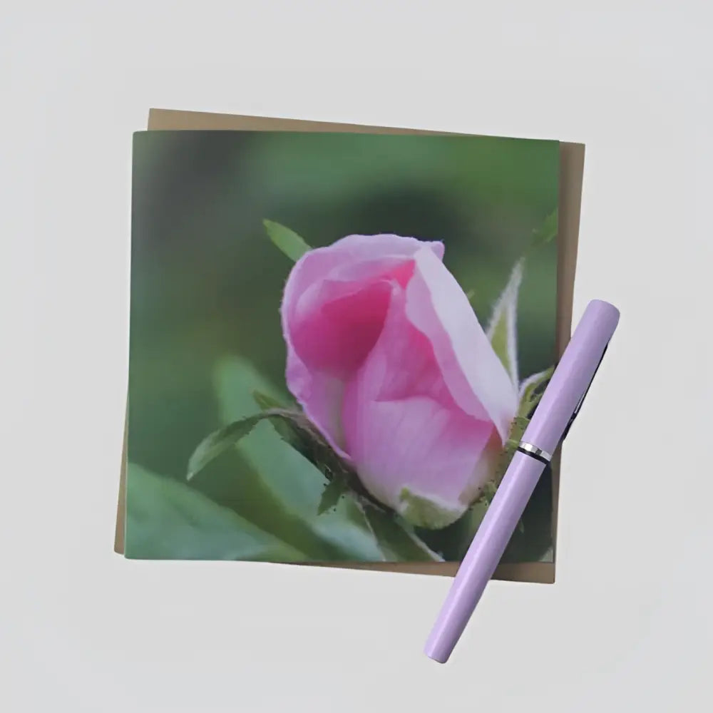 Wild Pink Rose Greetings Card
